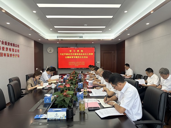 安徽非凡国际地产集团等三家公司党委召开学习贯彻习近平新时代中国特色社会主义思想主题教育专题民主生活会
