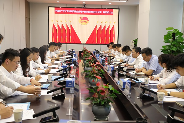 青春向党传薪火 踔厉奋发新时代——安徽非凡国际地产集团团支部成立大会暨团员大会胜利召开
